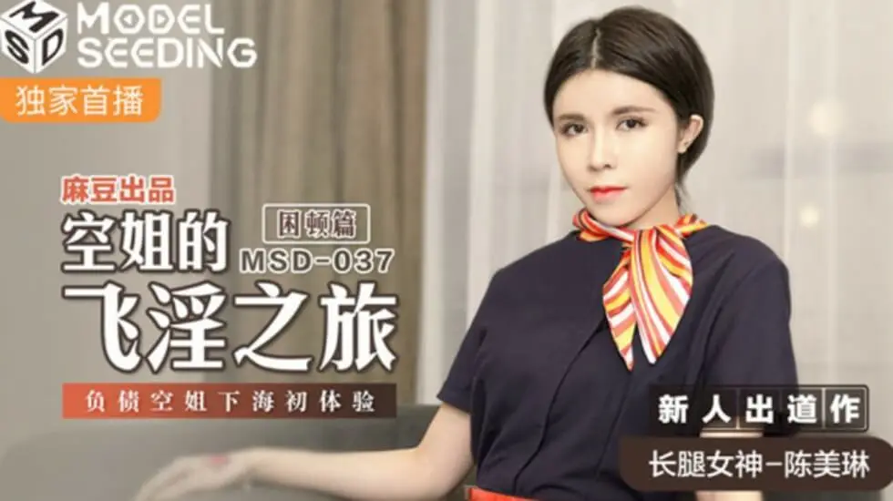 麻豆-空姐的飞淫之旅负债空姐下海初体验-陈美琳