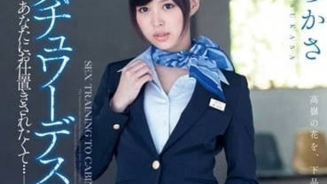 DV-1583 黑丝美女空姐 - 葵司高清完整版