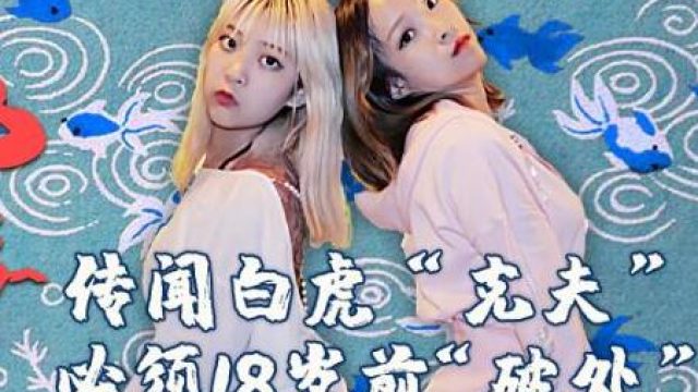 精东影业JD065东北往事之白虎