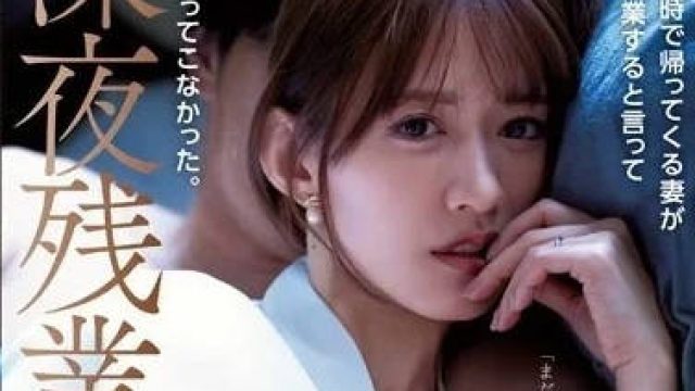 ADN-501 妻子时间到了就会回家 - 希岛爱理