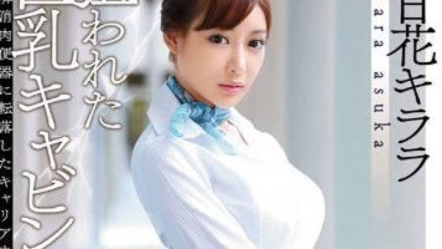 SNIS-576 被盯上的巨乳黑丝空姐明日花绮罗