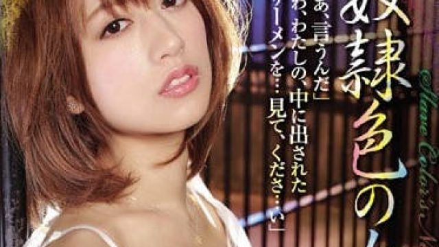 RBD-850 被抓住沦为奴隶的女记者希岛爱理