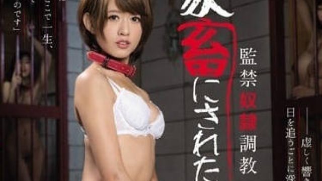 RBD-785 被监禁作为家畜奴隶调教的短发美女希岛爱理