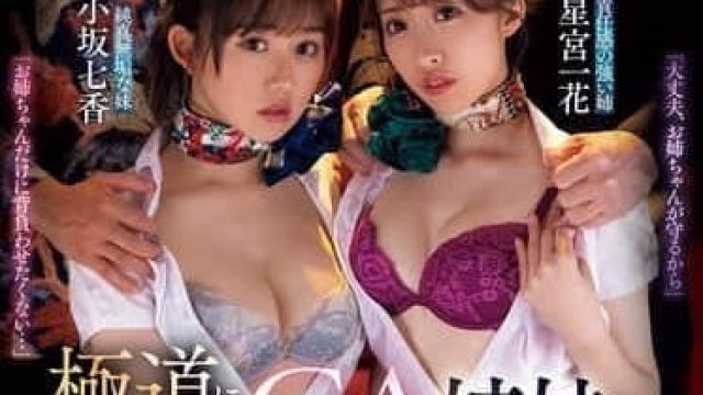 CA姐妹花陷入黑道金钱陷阱 - PRED-731
