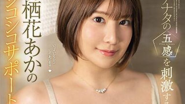 ssis-206 色情的肉体-有栖花あか