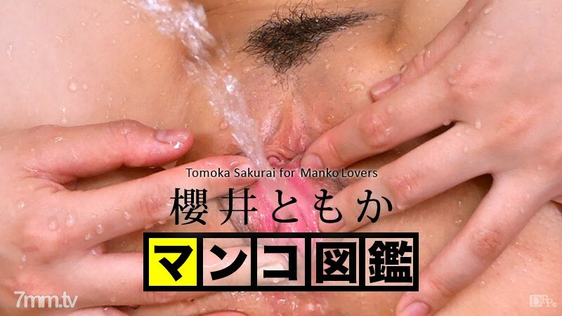 121515-001 猫图画书 Tomo Sakurai 或 Tomo Sakurai